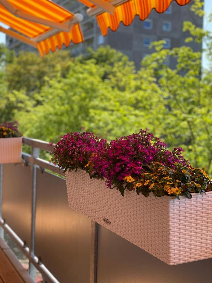 Apartment Mit Sonnenbalkon Und Netflix Im Zentrum Sankt Augustin