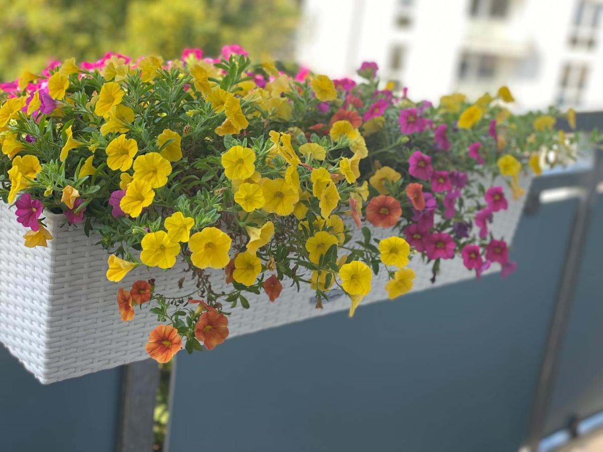 Mit Sonnenbalkon Und Netflix Im Zentrum * Sankt Augustin